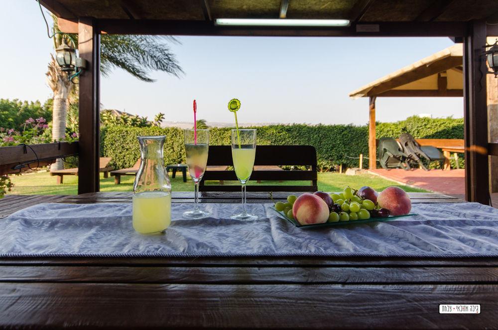 Avigail Guest House Yavne'el Bagian luar foto