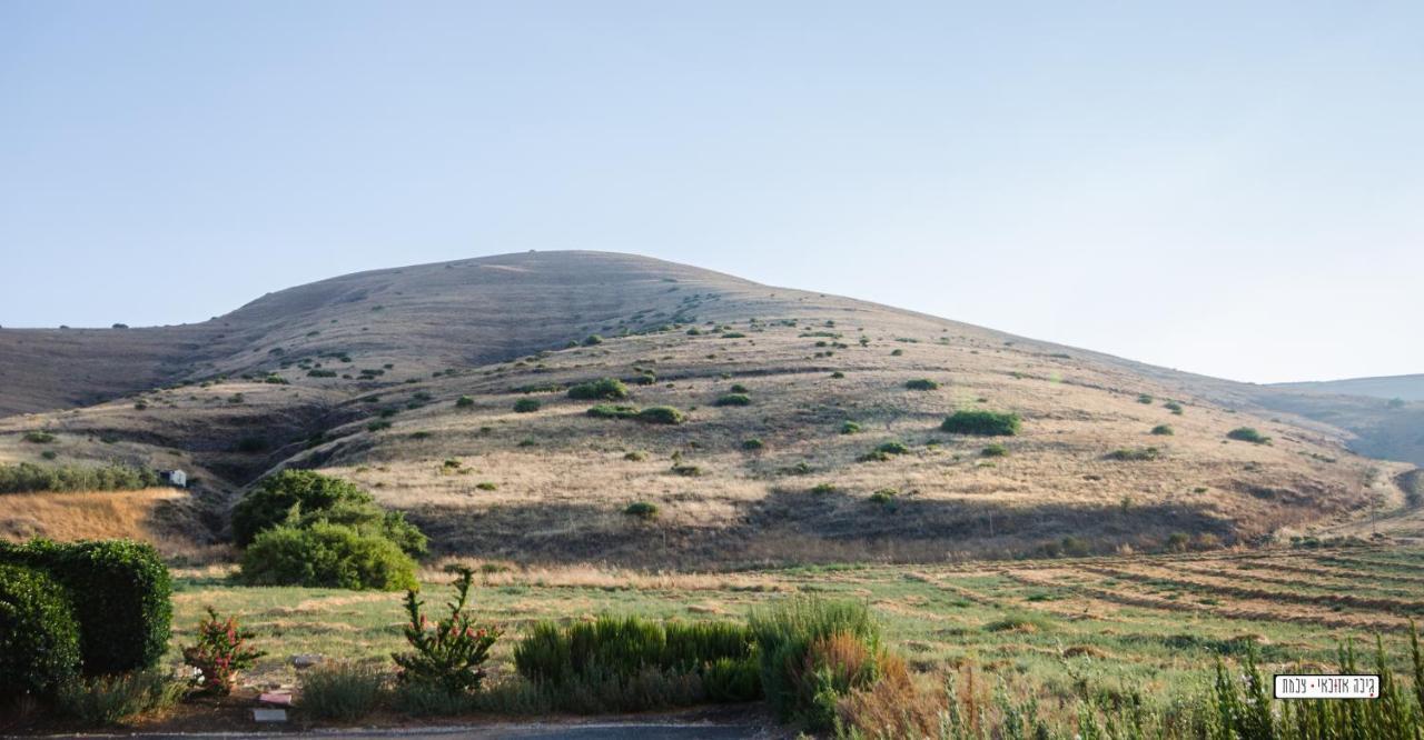 Avigail Guest House Yavne'el Bagian luar foto